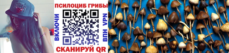 где найти   Петухово  Галлюциногенные грибы Cubensis 