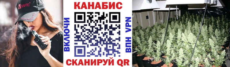 Конопля SATIVA & INDICA  mega ссылки  Петухово  продажа наркотиков 